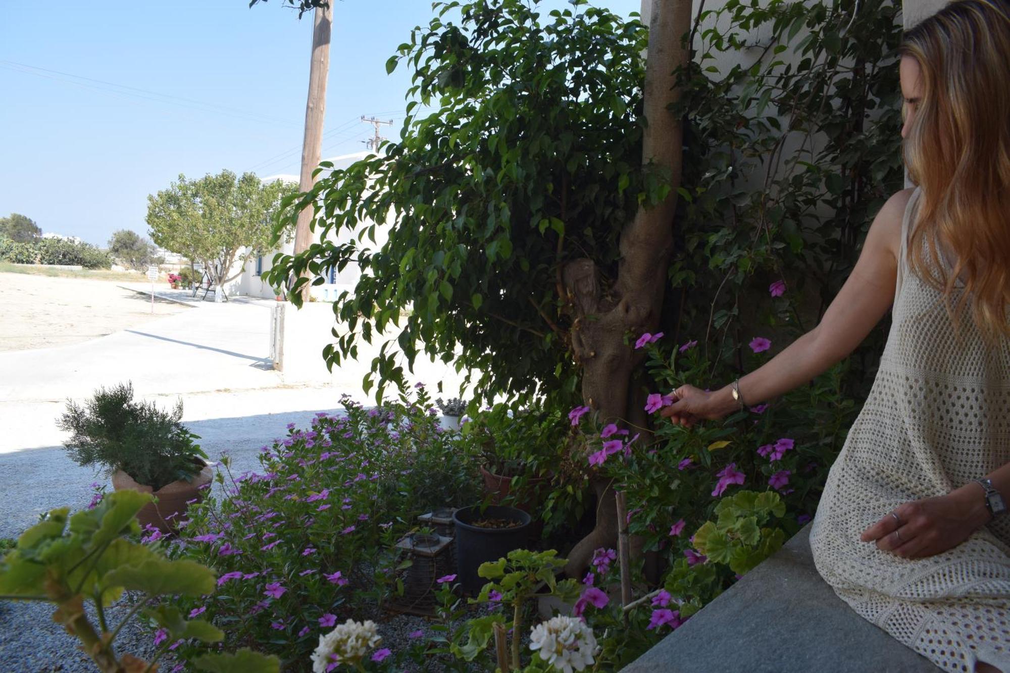Birbas Hotel Agia Anna (Naxos) Quarto foto